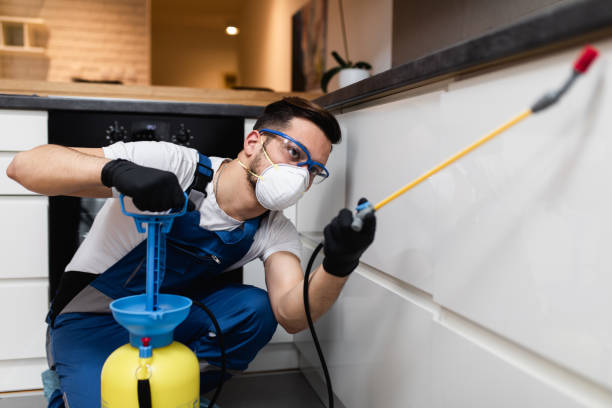 Best Flea Control Services  in Hanover, PA