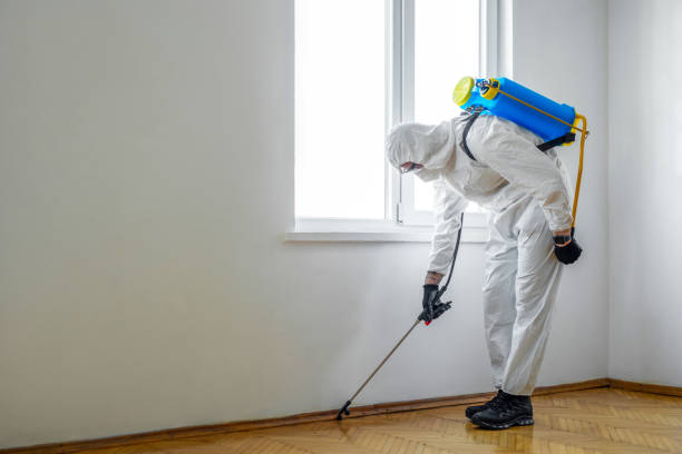 Flea Control Services in Hanover, PA