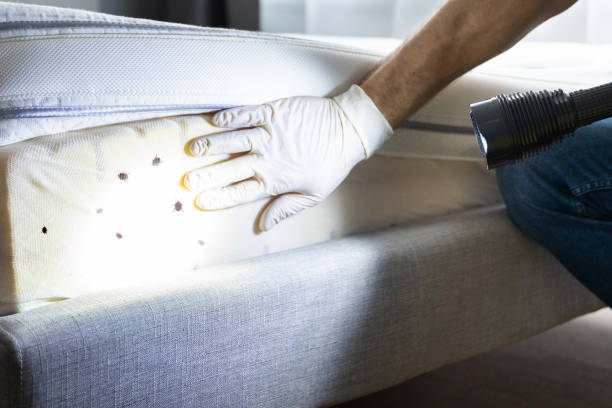 Best Exterminator Services  in Hanover, PA