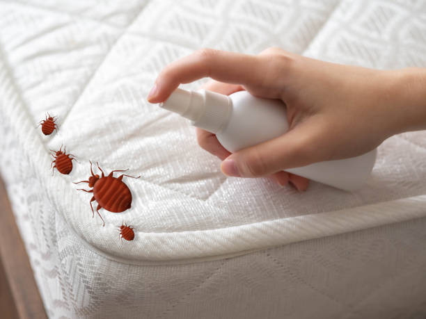 Professional Pest Control in Hanover, PA
