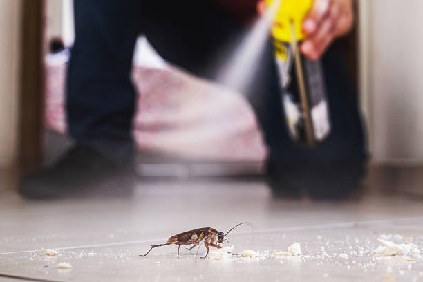 Best Mosquito Control Services  in Hanover, PA